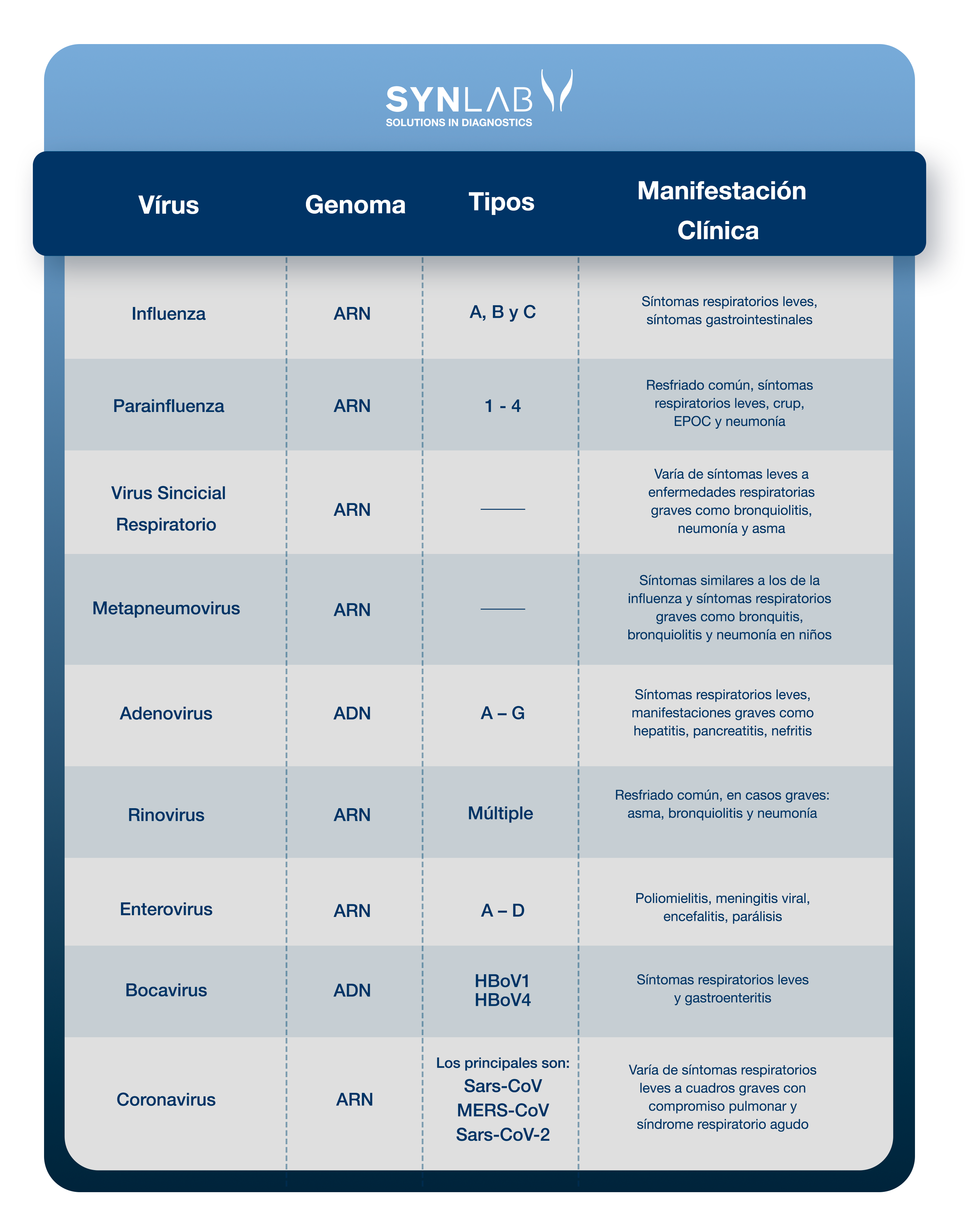 Enfermedades respiratorias: entienda sobre los tipos de enfermedades, los virus y formas de prevención