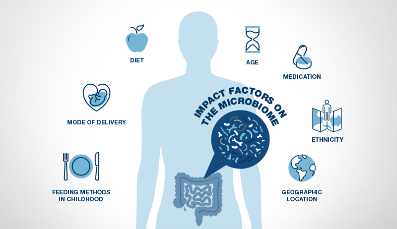 Gut Microbiome: Understand Its Importance for Maintaining Health