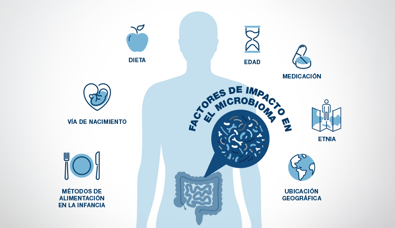 Microbioma intestinal: conozca su importancia para el mantenimiento de la salud